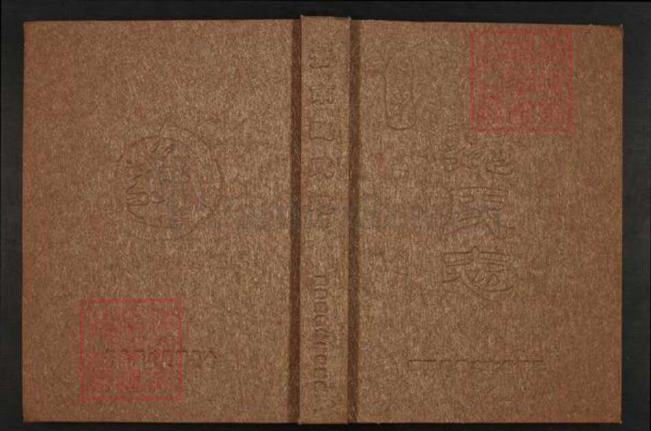 浙江省温州市苍南县魏氏族谱-苍南魏氏志.pdf电子版缩略图