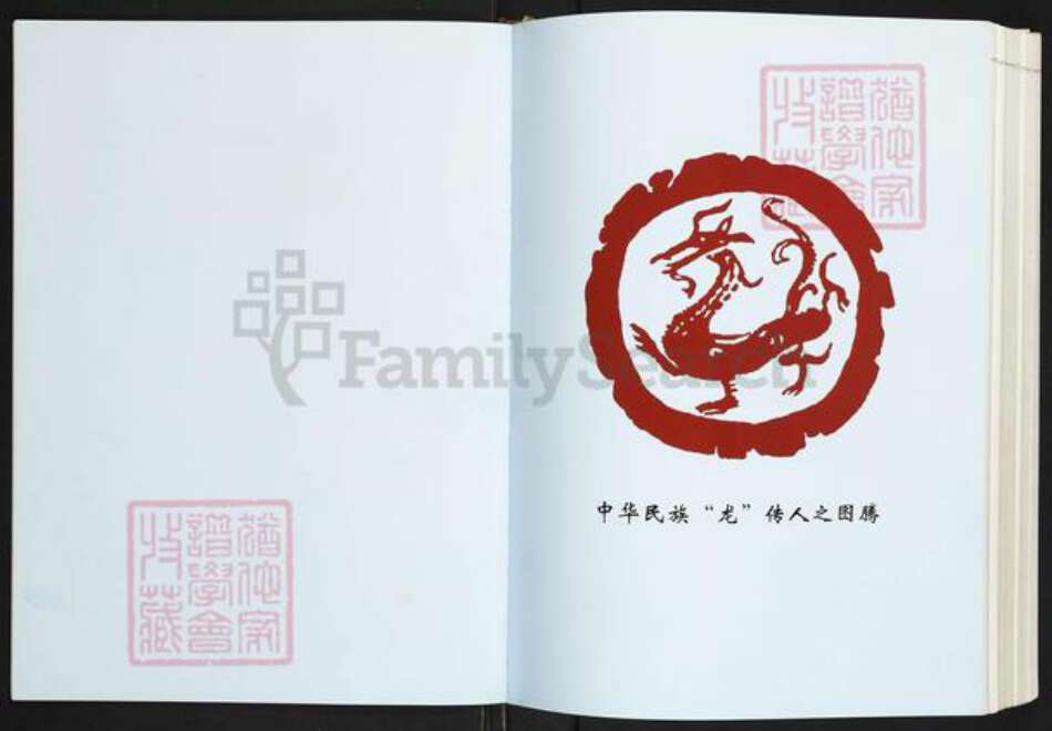 浙江省温州市苍南县魏氏族谱-苍南魏氏志.pdf电子版预览图1