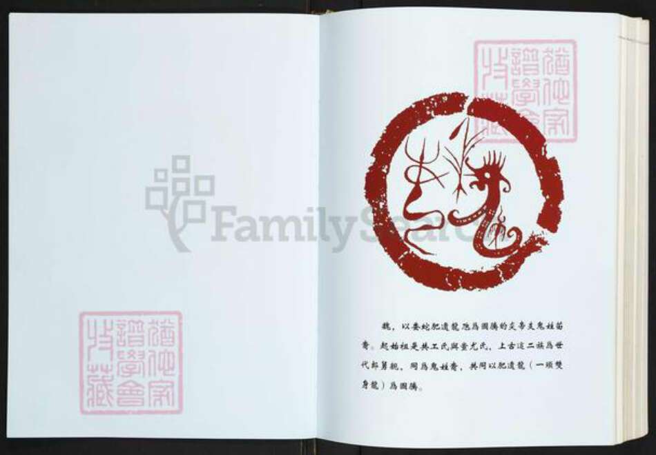 浙江省温州市苍南县魏氏族谱-苍南魏氏志.pdf电子版预览图2