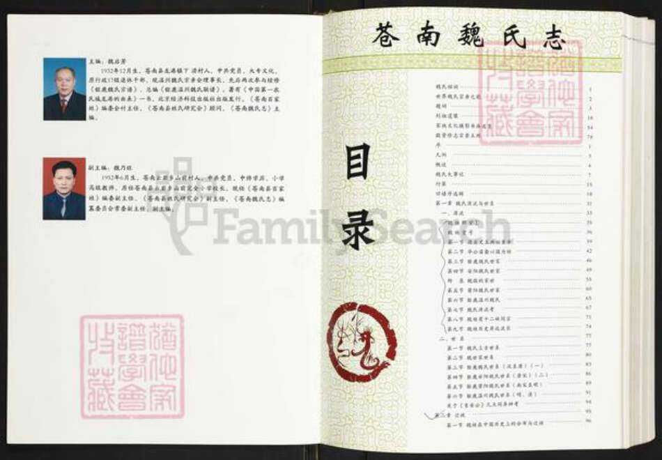 浙江省温州市苍南县魏氏族谱-苍南魏氏志.pdf电子版预览图4