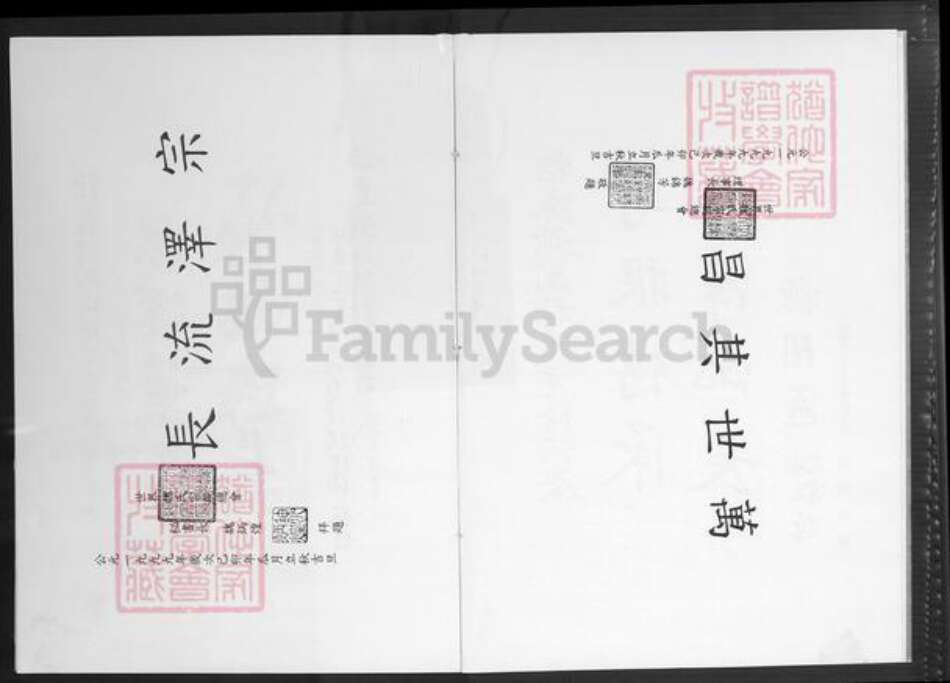 福建省漳州市南靖县梅林镇魏氏巨鹿堂族谱-巨鹿魏氏族谱.pdf电子版预览图3