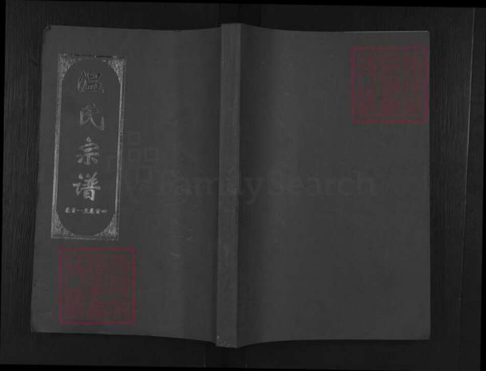湖北省武汉市新洲区凤凰镇温氏清河堂族谱-温氏宗谱.pdf电子版缩略图