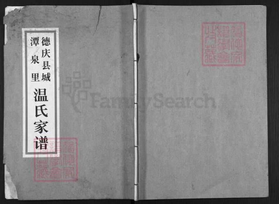 广东省肇庆市德庆县温氏族谱-德庆县城潭泉里温氏家谱.pdf电子版缩略图