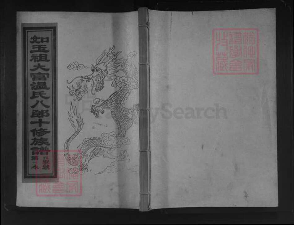 江西省赣州市宁都县梅江镇温氏族谱-如玉祖大富温氏八郎十修族谱.pdf电子版缩略图