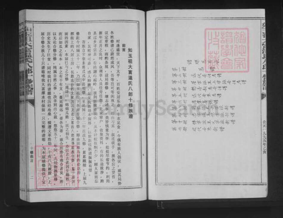 江西省赣州市宁都县梅江镇温氏族谱-如玉祖大富温氏八郎十修族谱.pdf电子版预览图2