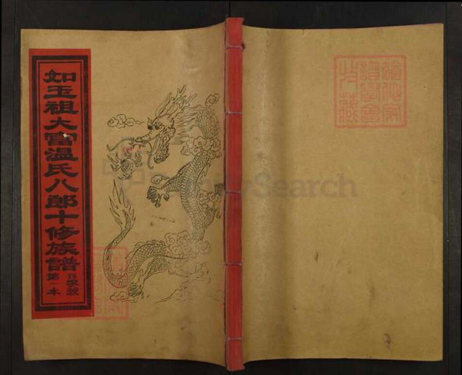 江西省赣州市宁都县竹笮乡温氏族谱-如玉祖大富温氏八郎十修族谱.pdf电子版缩略图