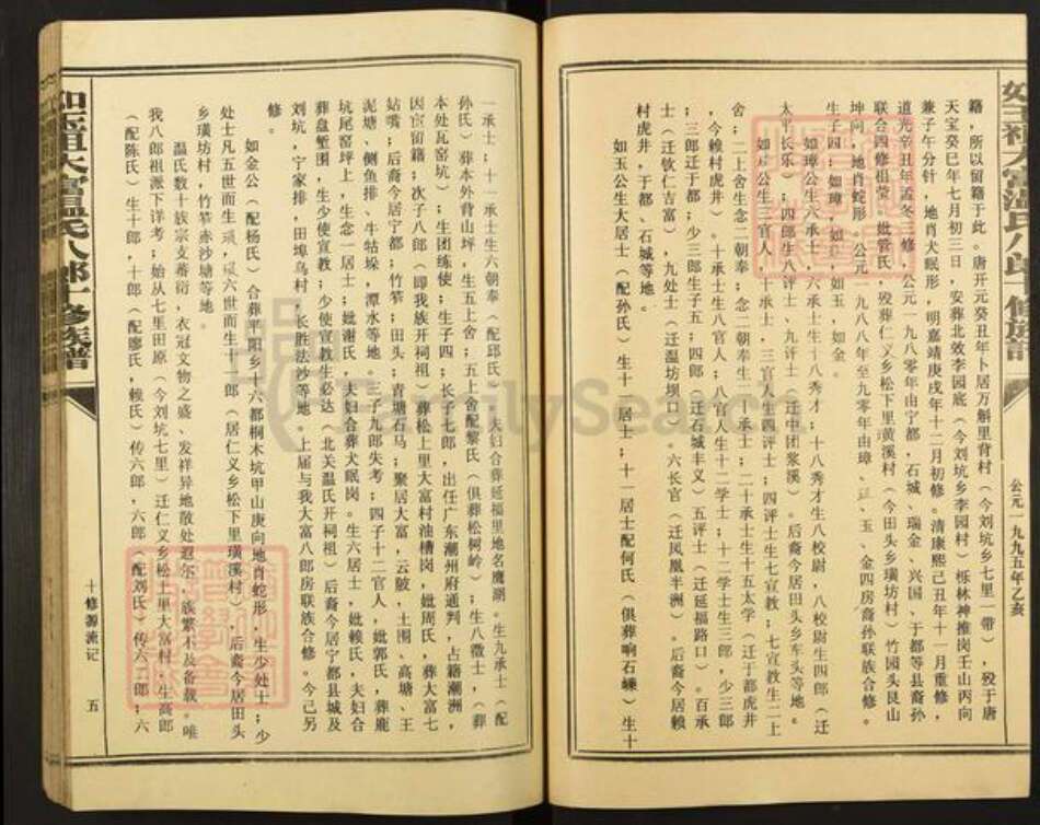 江西省赣州市宁都县竹笮乡温氏族谱-如玉祖大富温氏八郎十修族谱.pdf电子版预览图5