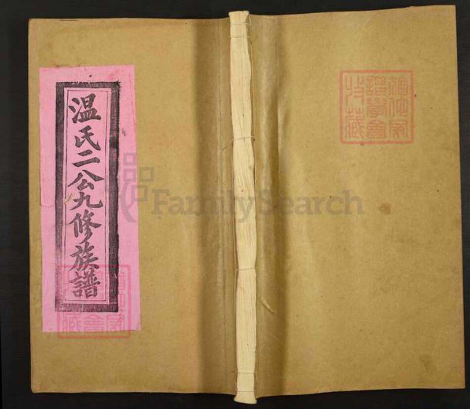 江西省赣州市石城县小松镇温氏族谱-耸冈石田温氏二公祠九修族谱.pdf电子版缩略图