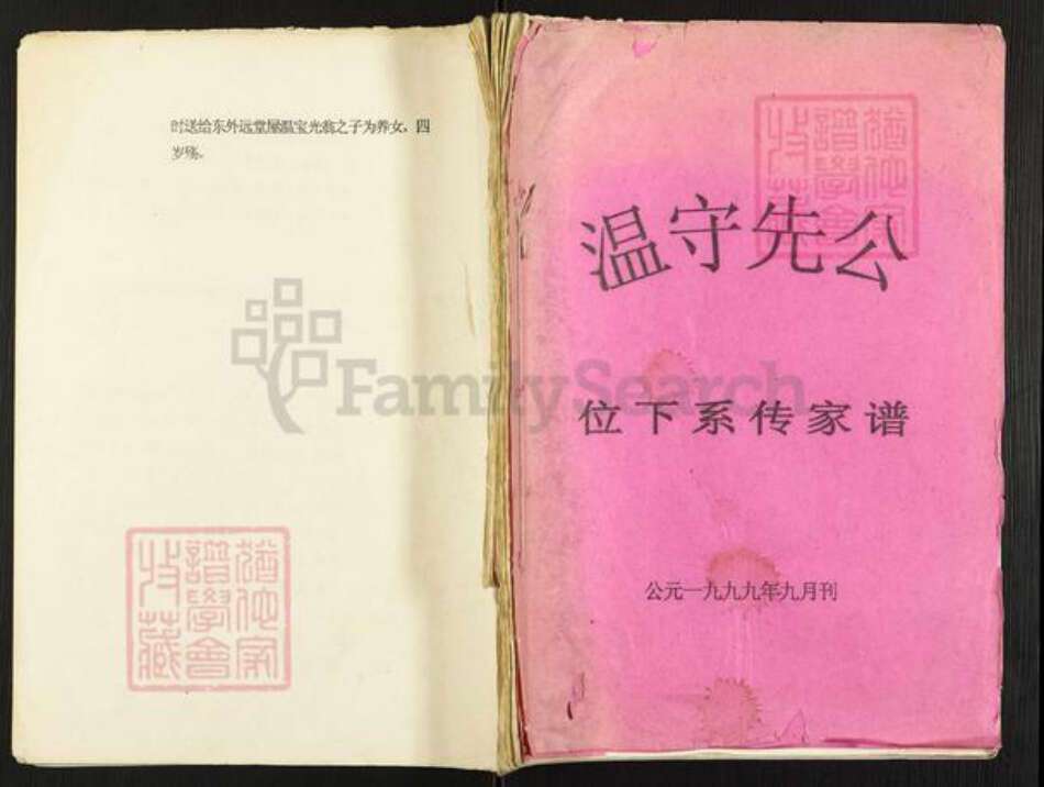 江西省赣州市石城县温氏族谱-温守先公位下系传家谱.pdf电子版缩略图