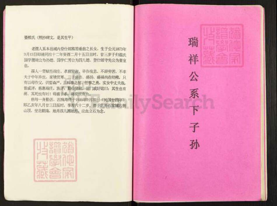 江西省赣州市石城县温氏族谱-温守先公位下系传家谱.pdf电子版预览图3