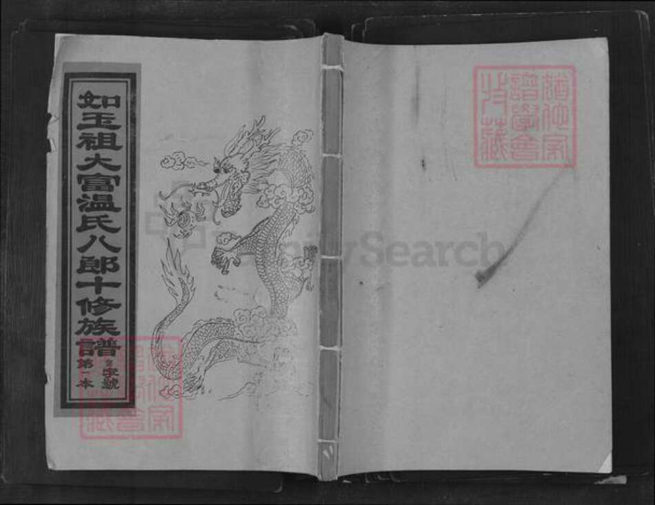 江西省赣州市宁都县竹笮乡温氏族谱-如玉祖大富温氏八郎十修族谱.pdf电子版缩略图