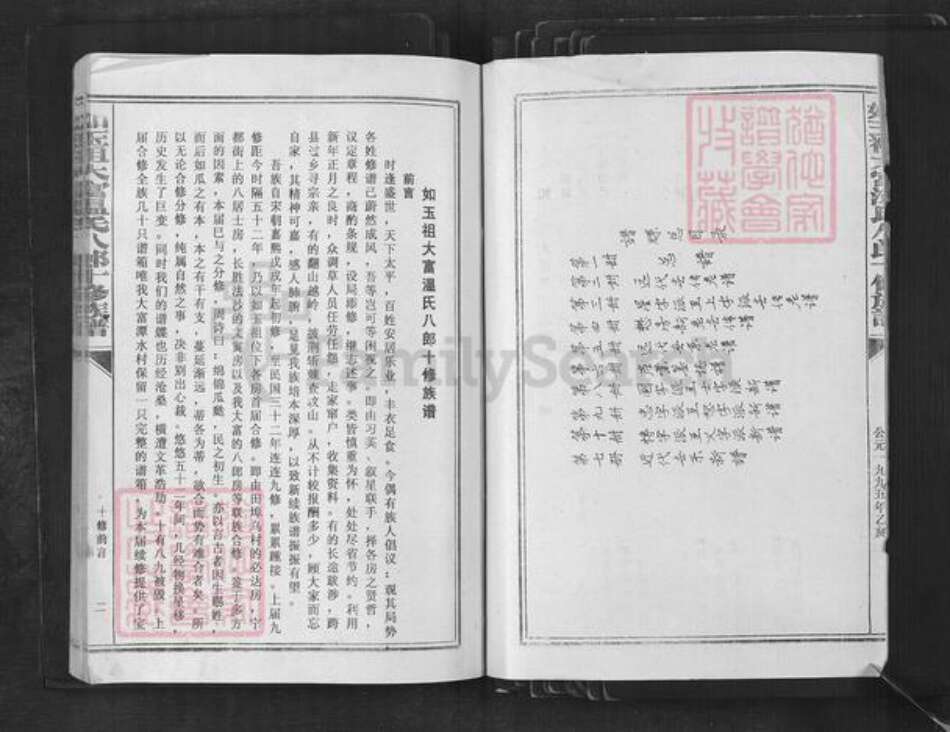 江西省赣州市宁都县竹笮乡温氏族谱-如玉祖大富温氏八郎十修族谱.pdf电子版预览图2