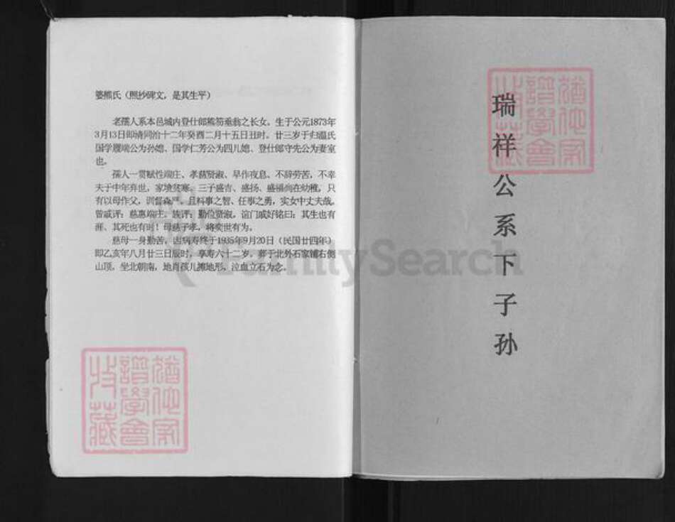 江西省赣州市石城县温氏族谱-温守先公位下系传家谱.pdf电子版预览图3