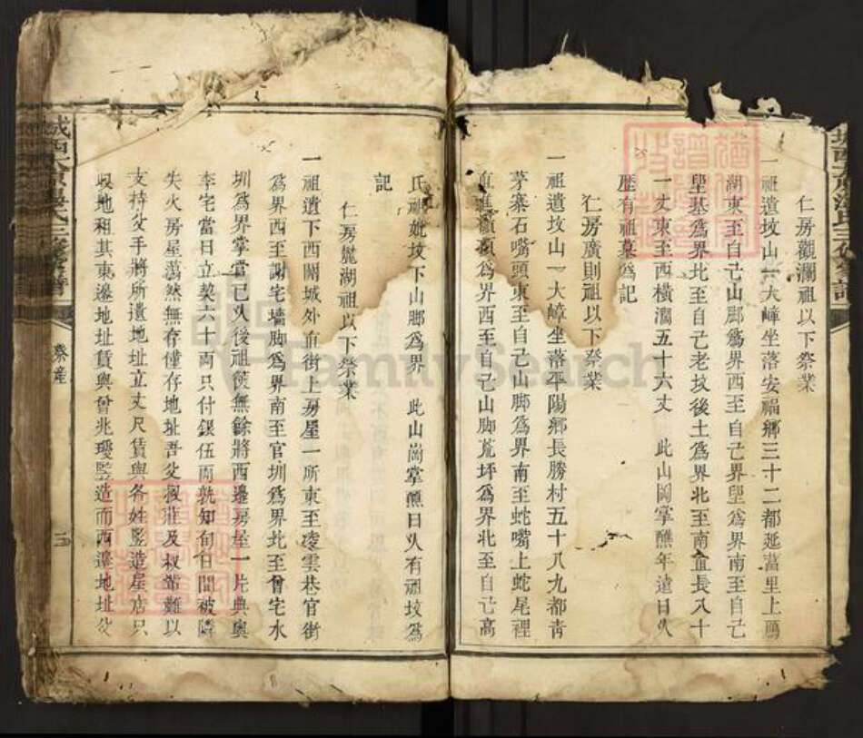 江西省赣州市宁都县温氏族谱-城西太原温氏三修家谱.pdf电子版预览图4