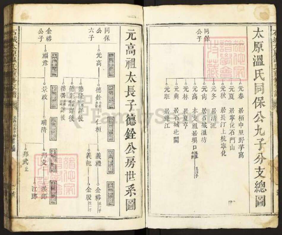 江西省赣州市石城县琴江镇温氏族谱-石城太原温氏重修家谱.pdf电子版预览图2