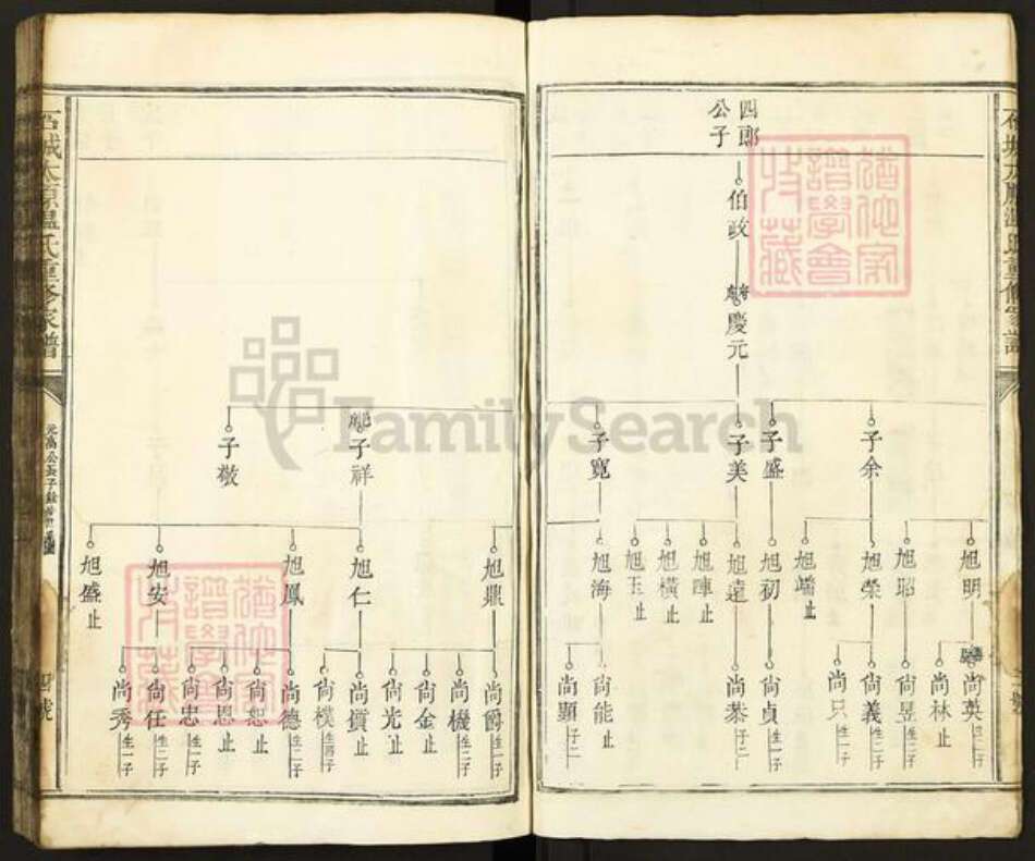 江西省赣州市石城县琴江镇温氏族谱-石城太原温氏重修家谱.pdf电子版预览图4