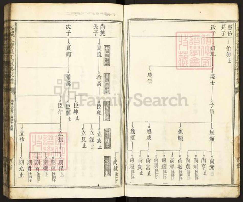 江西省赣州市石城县琴江镇温氏族谱-石城太原温氏重修家谱.pdf电子版预览图5