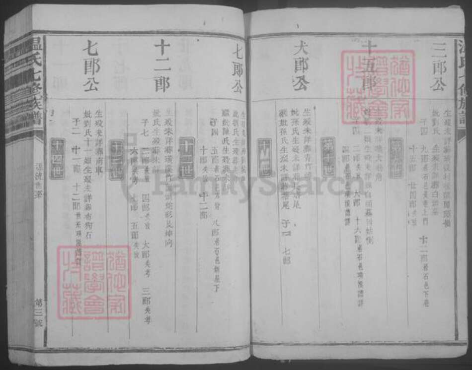 江西省赣州市石城县温氏族谱-温氏七修族谱.pdf电子版预览图3