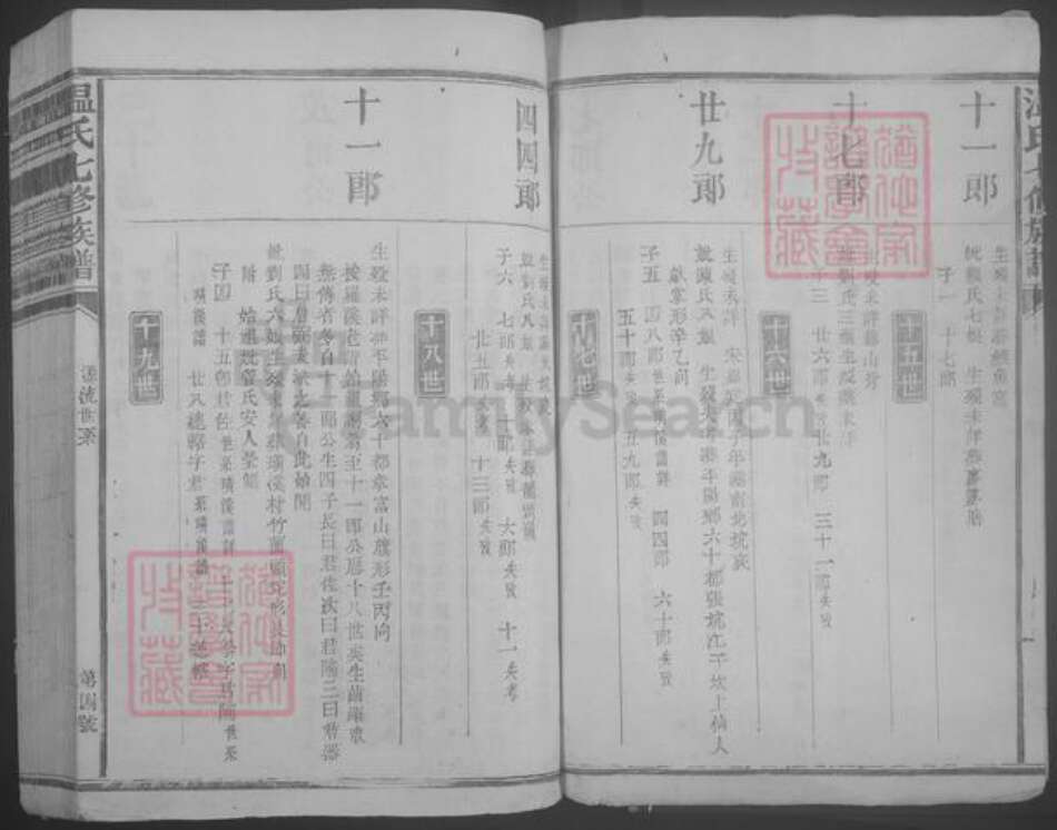 江西省赣州市石城县温氏族谱-温氏七修族谱.pdf电子版预览图4