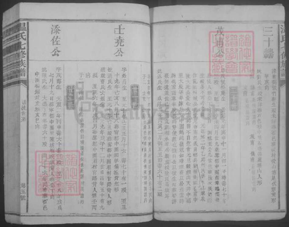 江西省赣州市石城县温氏族谱-温氏七修族谱.pdf电子版预览图5