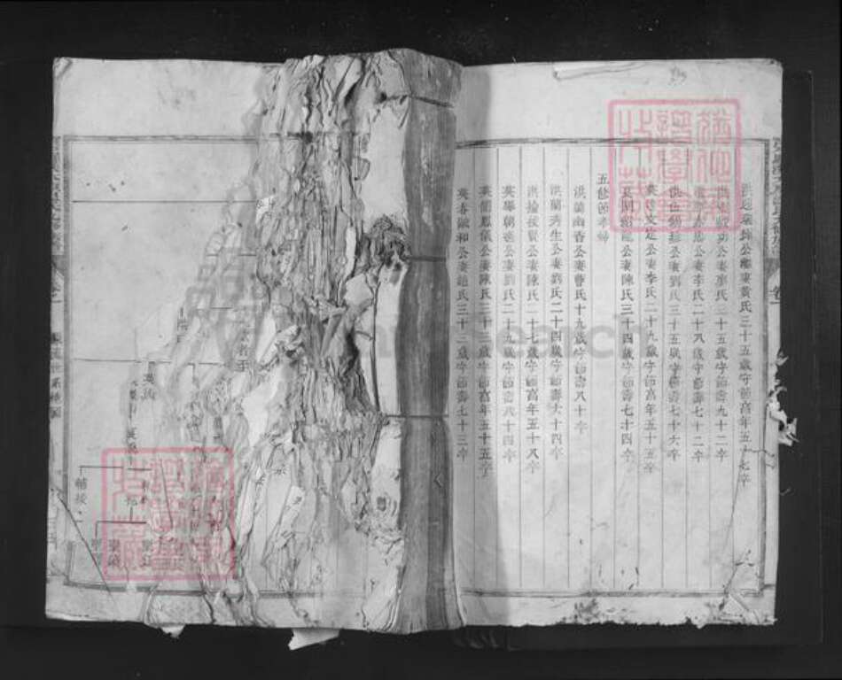 江西省赣州市石城县小松镇温氏族谱-宁石罗溪太原温氏九修族谱.pdf电子版缩略图