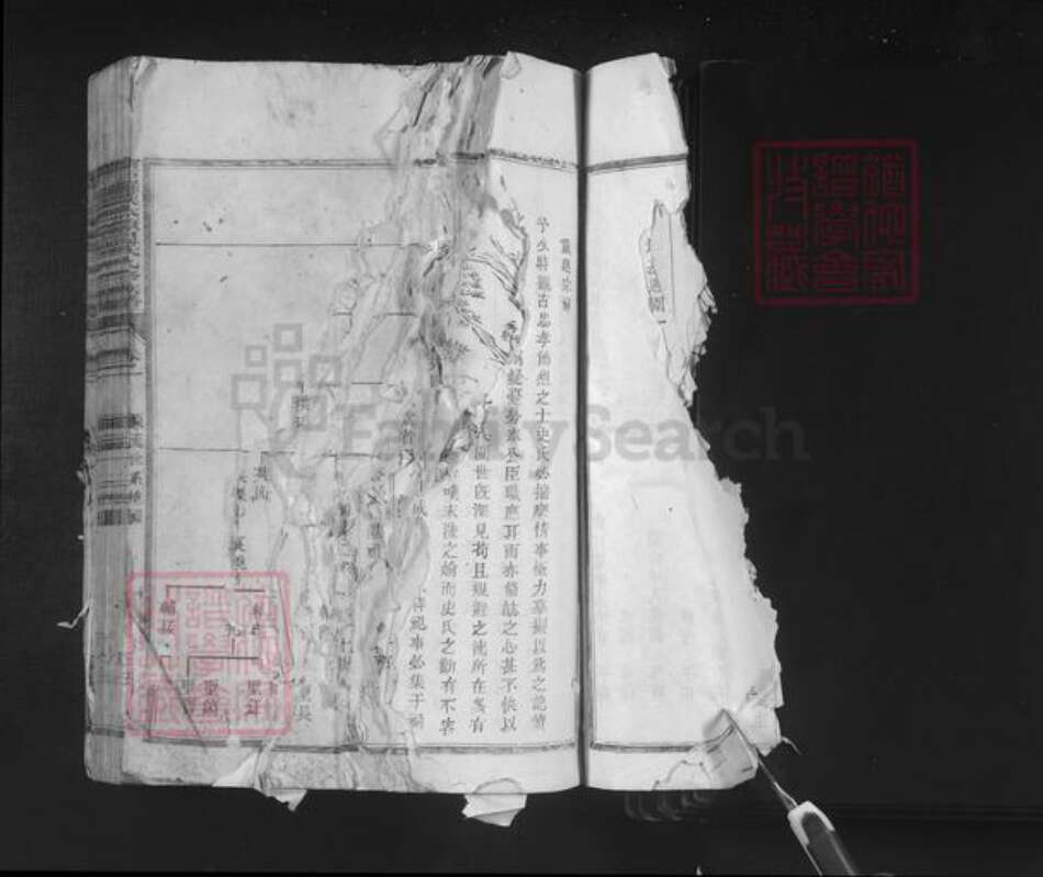 江西省赣州市石城县小松镇温氏族谱-宁石罗溪太原温氏九修族谱.pdf电子版预览图2