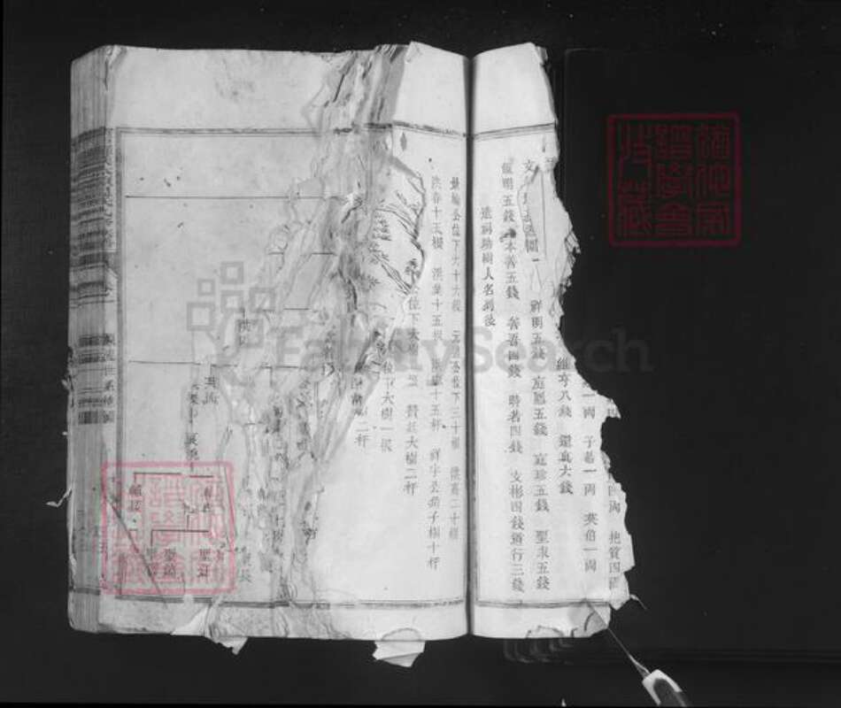 江西省赣州市石城县小松镇温氏族谱-宁石罗溪太原温氏九修族谱.pdf电子版预览图3