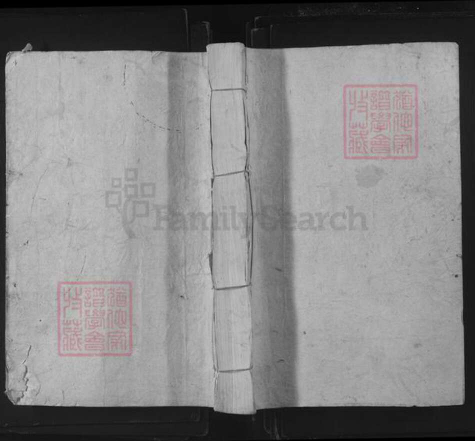 江西省赣州市石城县温氏族谱-石城县罗溪太原温氏十修族谱.pdf电子版缩略图