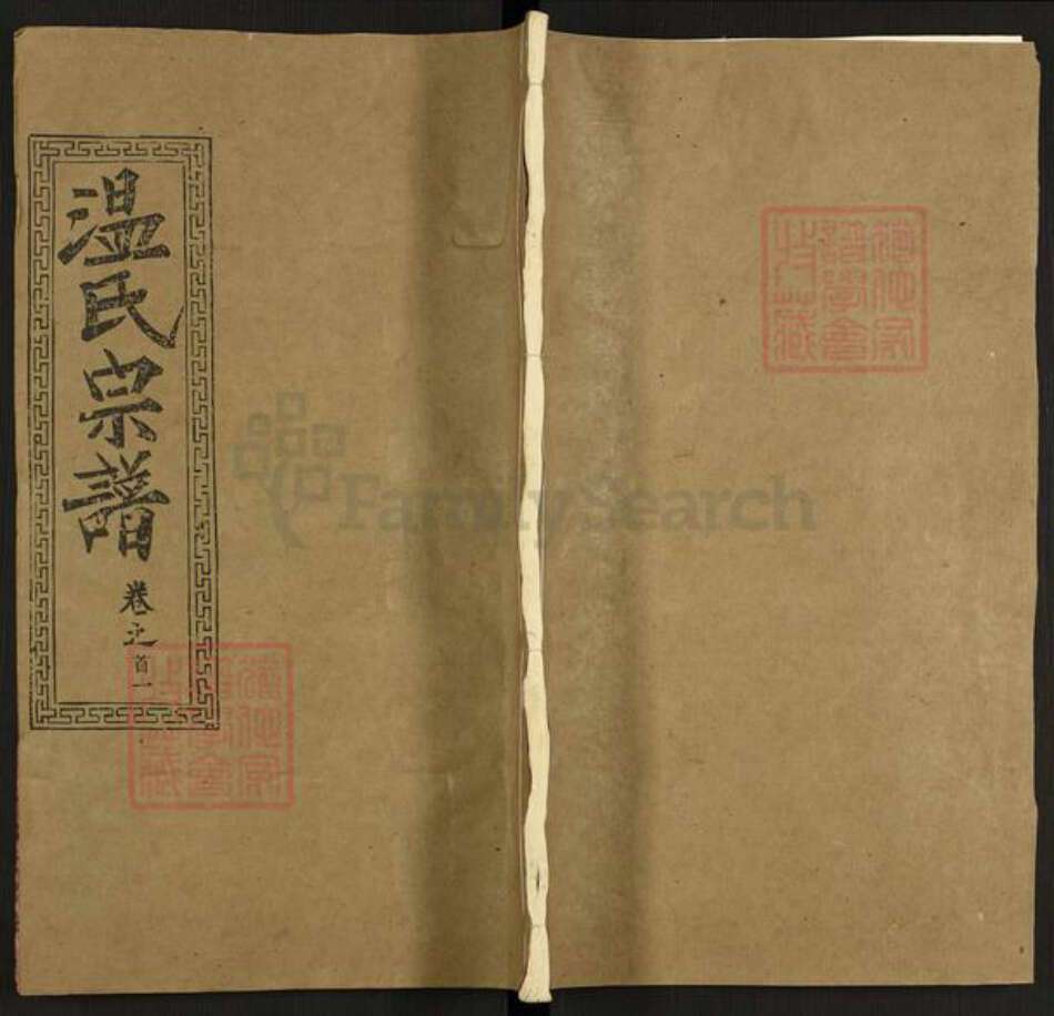 湖北省黄冈市温氏清河堂族谱-温氏宗谱.pdf电子版缩略图