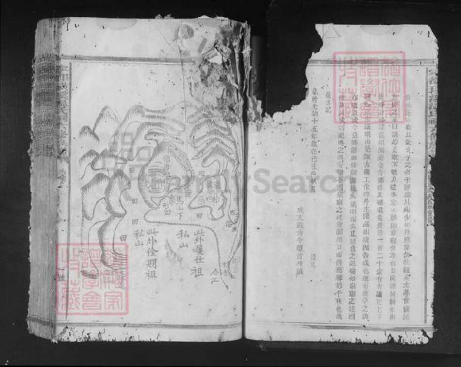 江西省赣州市宁都县田头镇温氏族谱-宁都璜溪温氏祠六修族谱.pdf电子版预览图5