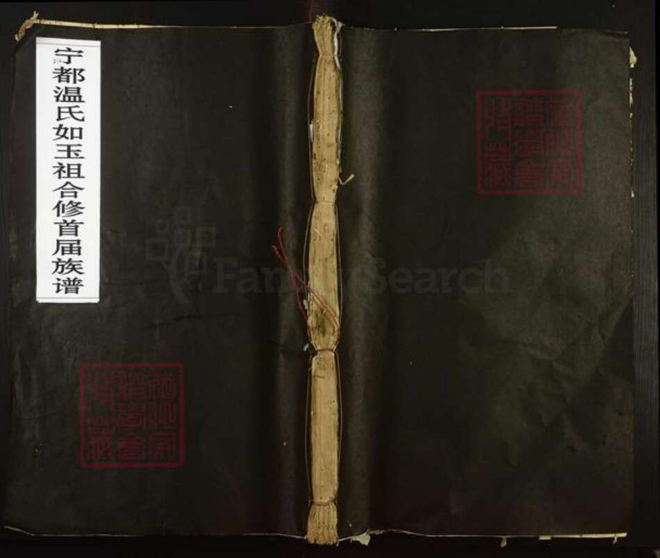 江西省赣州市宁都县温氏族谱-宁都温氏如玉祖合修首届族谱.pdf电子版缩略图