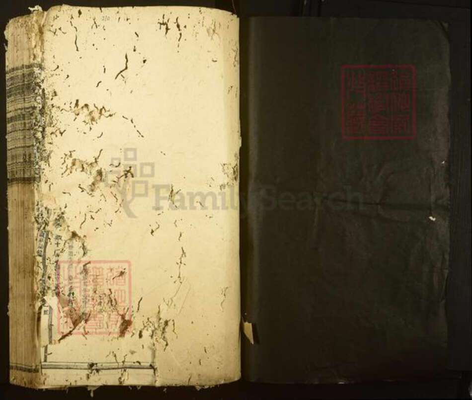 江西省赣州市宁都县温氏族谱-宁都温氏如玉祖合修首届族谱.pdf电子版预览图1