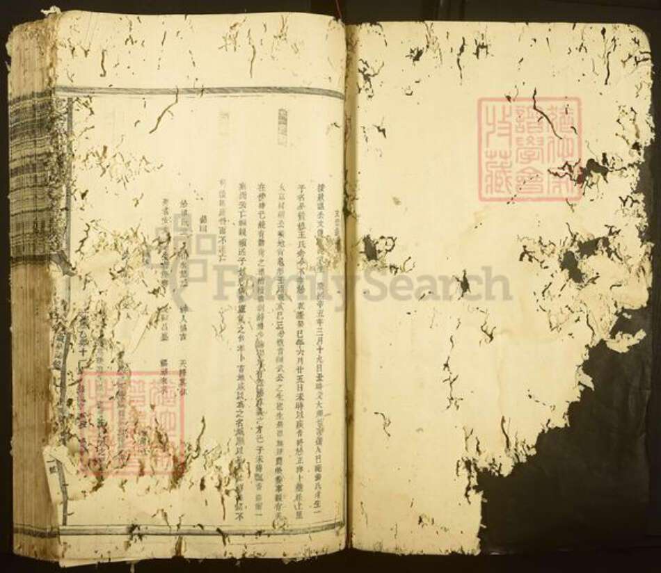 江西省赣州市宁都县温氏族谱-宁都温氏如玉祖合修首届族谱.pdf电子版预览图2