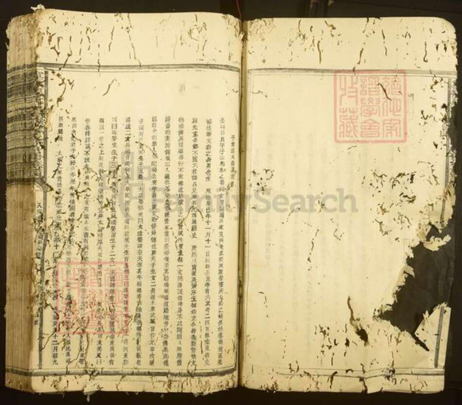 江西省赣州市宁都县温氏族谱-宁都温氏如玉祖合修首届族谱.pdf电子版预览图4