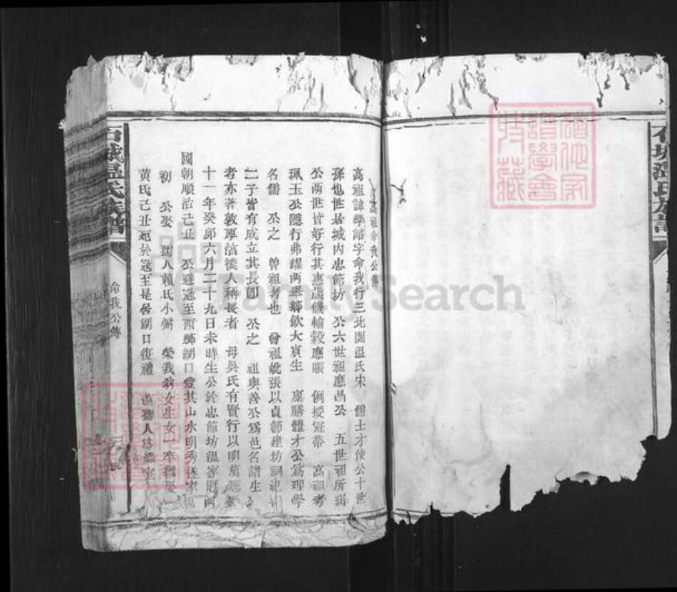 山西省长治市平顺县石城镇温氏族谱-石城温氏族谱.pdf电子版预览图3