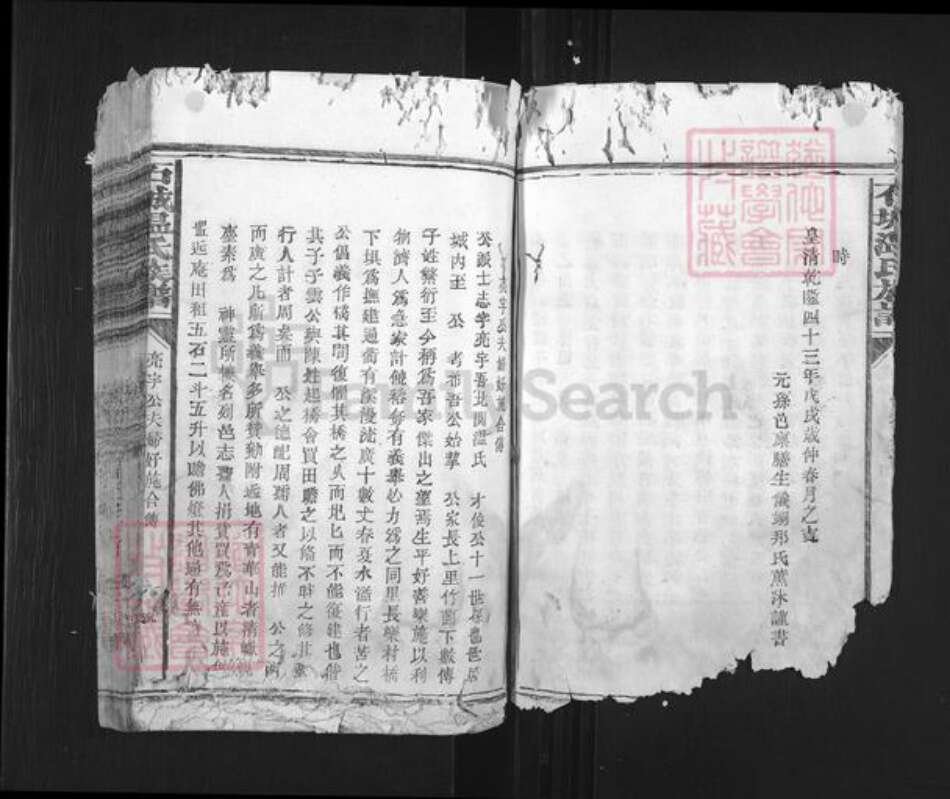 山西省长治市平顺县石城镇温氏族谱-石城温氏族谱.pdf电子版预览图5