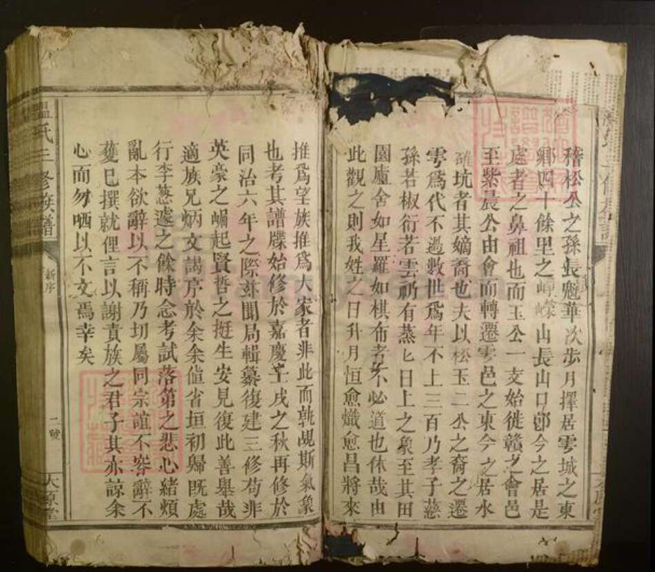 江西省温氏族谱-温氏三修族谱.pdf电子版预览图2