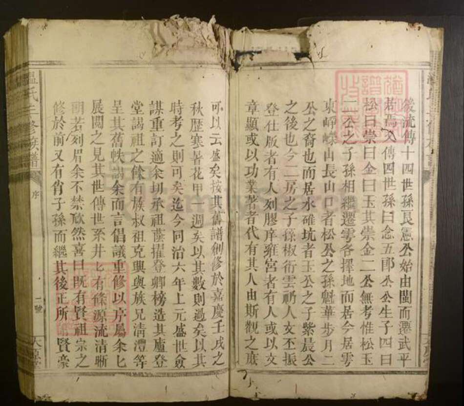 江西省温氏族谱-温氏三修族谱.pdf电子版预览图5