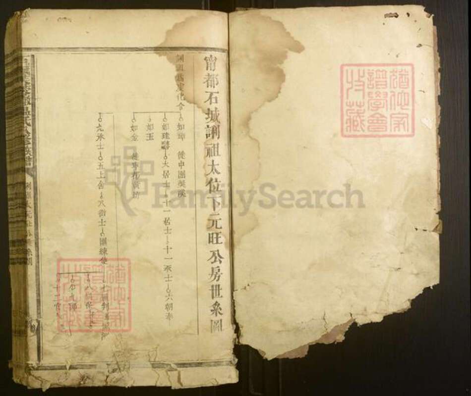 江西省赣州市宁都县温氏族谱-石城芙蓉墩温氏八修族谱[不分卷].pdf电子版预览图1