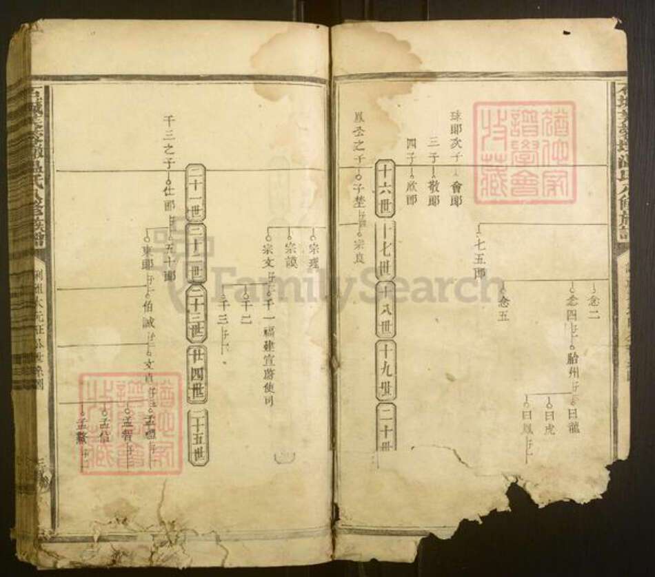 江西省赣州市宁都县温氏族谱-石城芙蓉墩温氏八修族谱[不分卷].pdf电子版预览图3