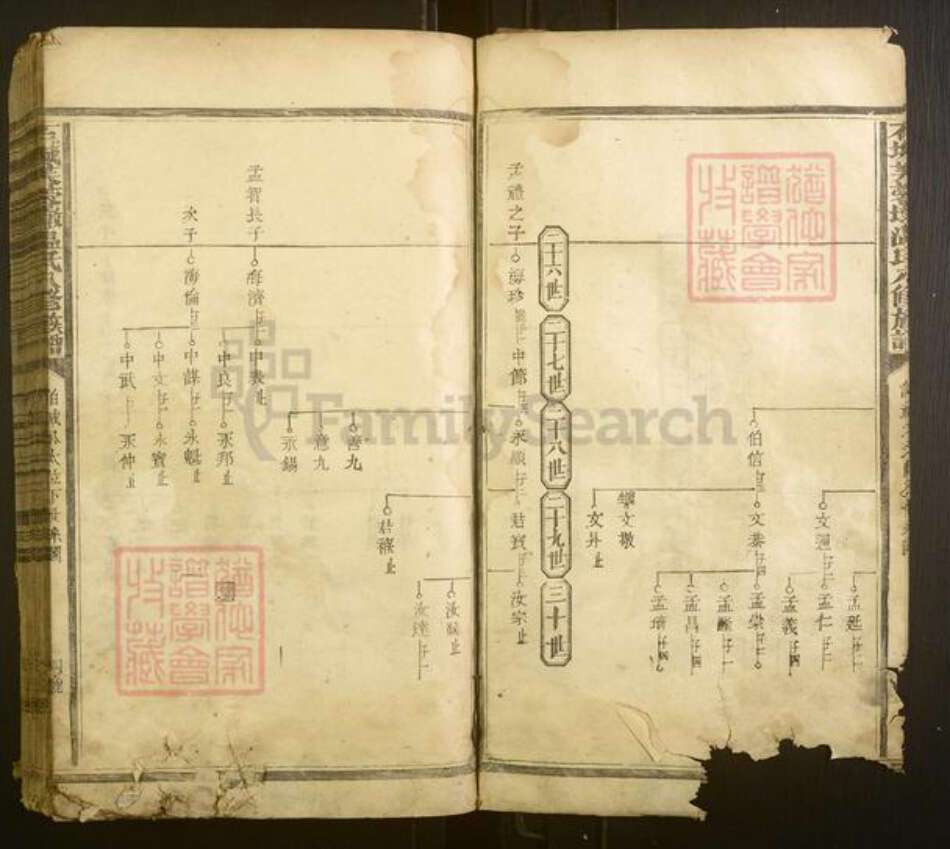 江西省赣州市宁都县温氏族谱-石城芙蓉墩温氏八修族谱[不分卷].pdf电子版预览图4