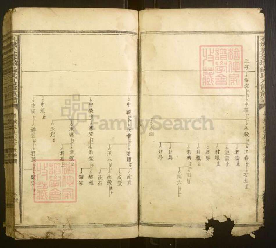 江西省赣州市宁都县温氏族谱-石城芙蓉墩温氏八修族谱[不分卷].pdf电子版预览图5