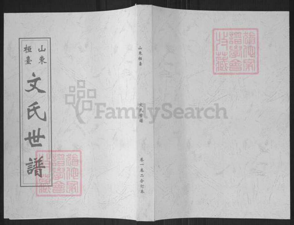 山东省淄博市桓台县田庄镇文氏族谱-山东桓台文氏世谱.pdf电子版缩略图