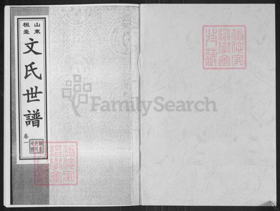 山东省淄博市桓台县田庄镇文氏族谱-山东桓台文氏世谱.pdf电子版预览图1