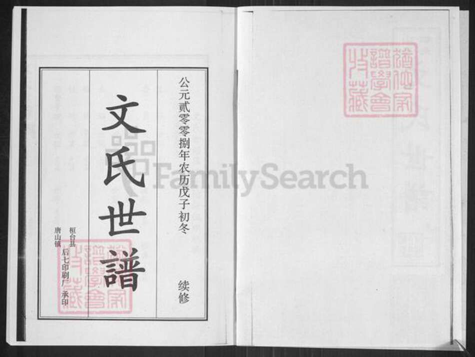 山东省淄博市桓台县田庄镇文氏族谱-山东桓台文氏世谱.pdf电子版预览图2