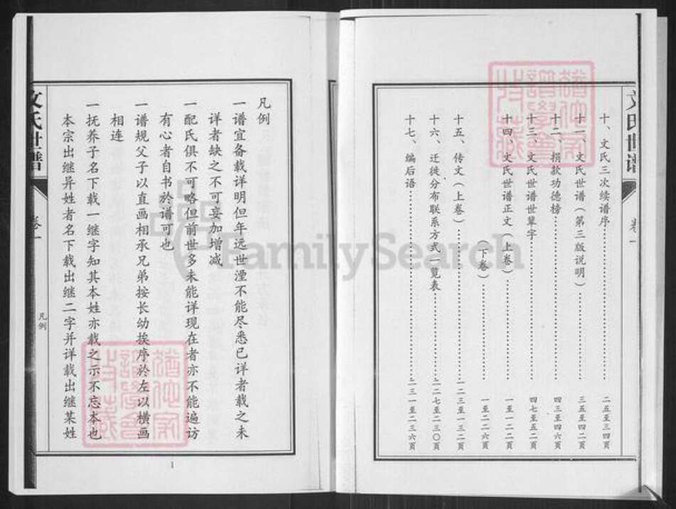 山东省淄博市桓台县田庄镇文氏族谱-山东桓台文氏世谱.pdf电子版预览图5