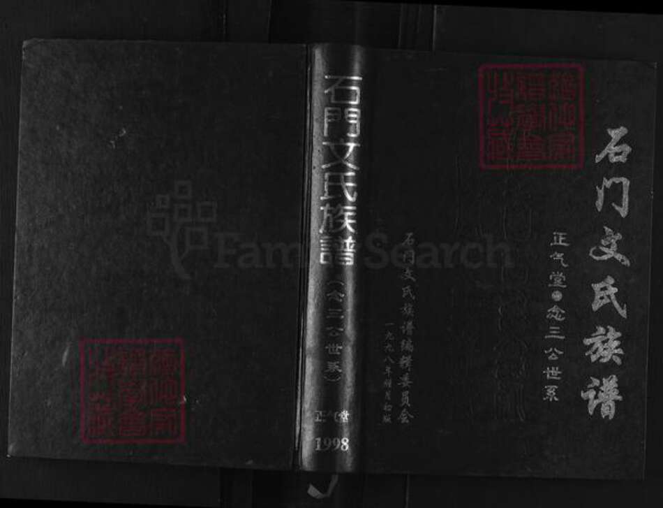 湖南省常德市石门县维新镇文氏正气堂族谱-石门文氏族谱.念三公世系.pdf电子版缩略图