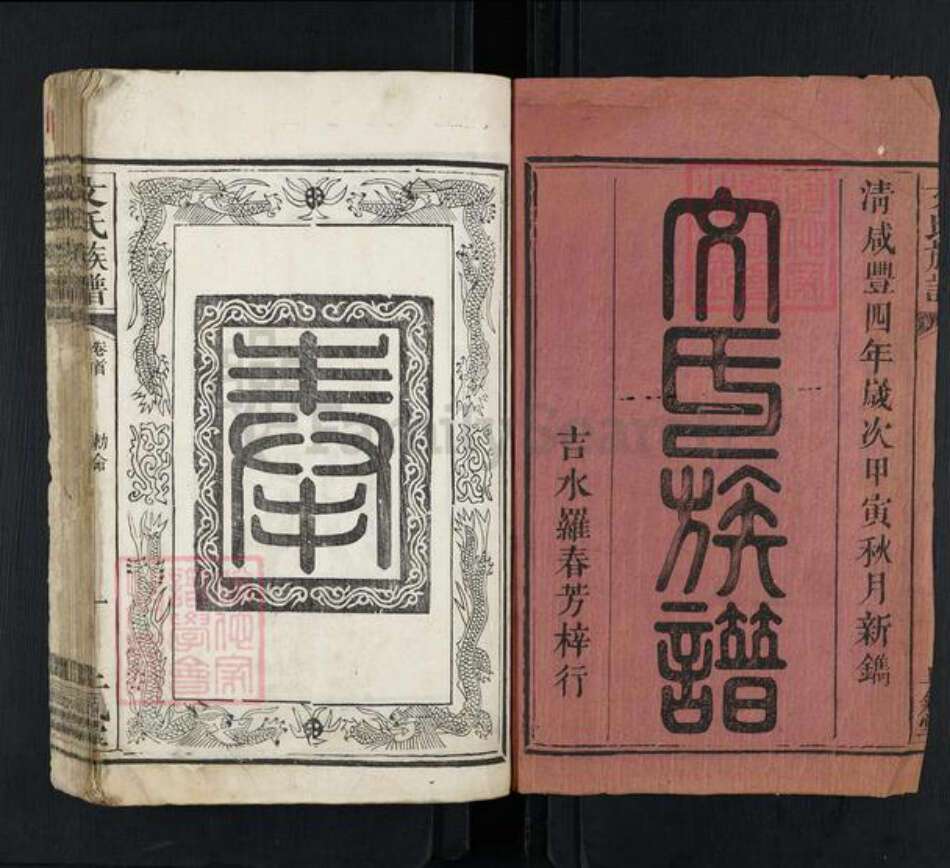 江西省吉安市永新县莲洲乡文氏正气堂族谱-文氏族谱.pdf电子版预览图1