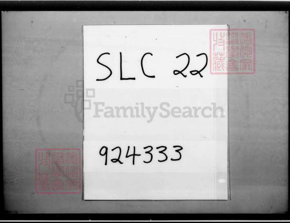 广东省翁氏族谱-翁氏族谱.pdf电子版缩略图