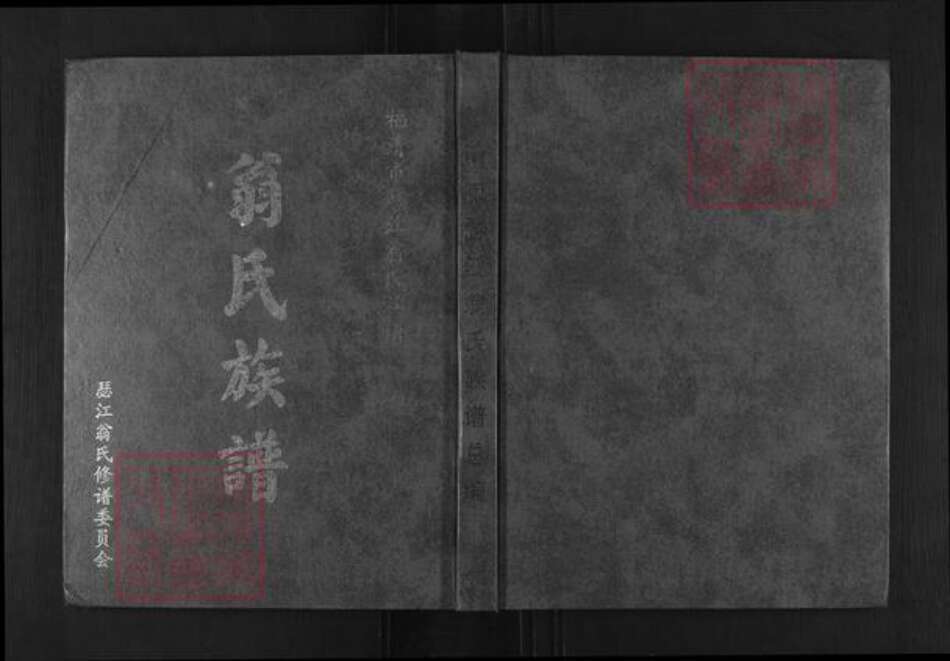 福建省福州市福清市三山镇翁氏族谱-翁氏族谱总编.pdf电子版缩略图